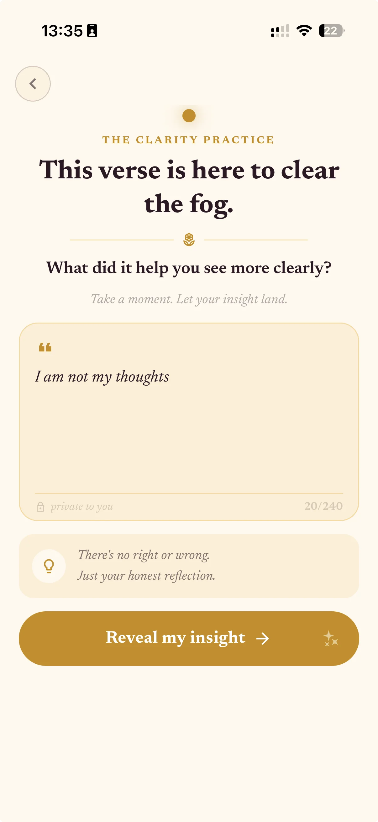 Wisdom app Clarity Practice — a Jnana-path reflection prompt asking 'What did it help you see more clearly?' with a Reveal my insight button